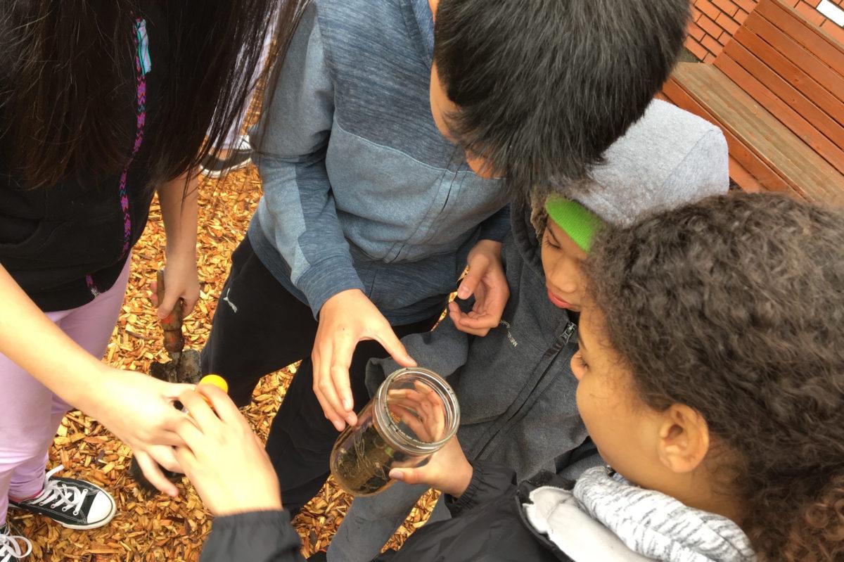 4 students are looking into a mason jar full of soil with an apple slice in it